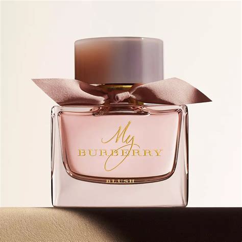 burberry body smell like|burberry fragrance for women reviews.